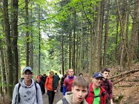 wyspowy (20)
